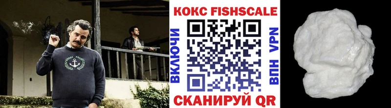COCAIN Fish Scale  Купить  Нарьян-Мар 