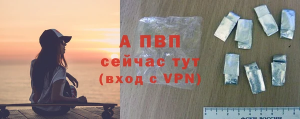 мяу мяу мука Богданович